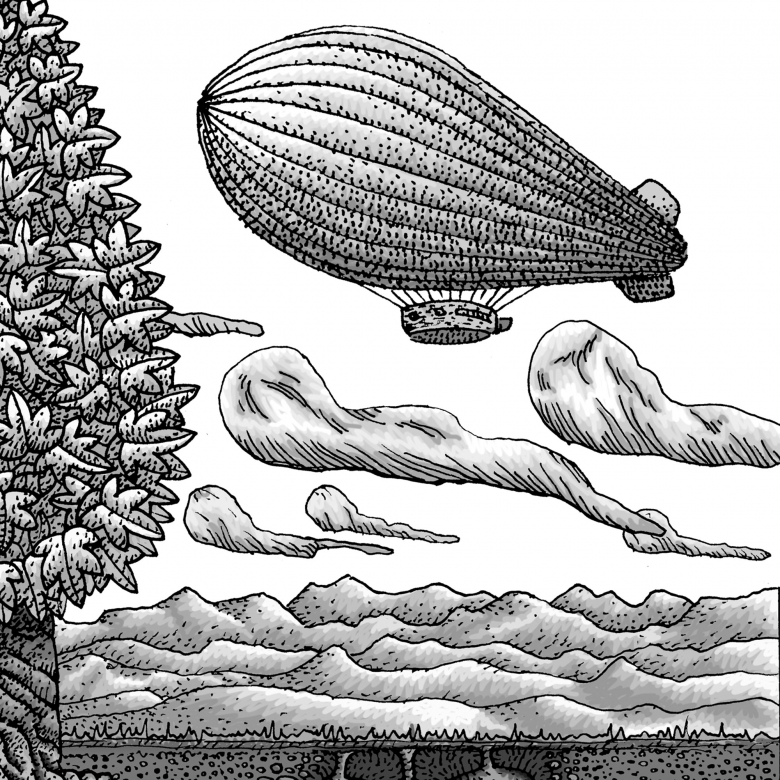 illustration detail