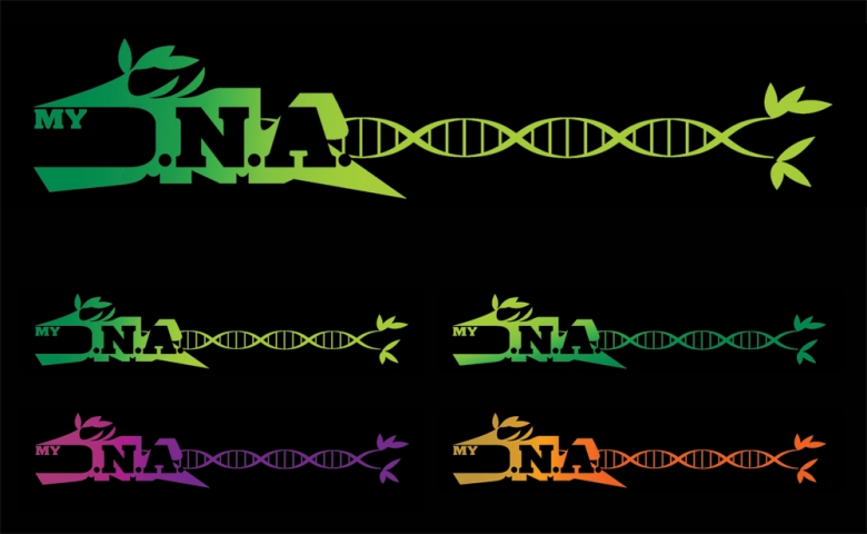 proposals for the logo and color development